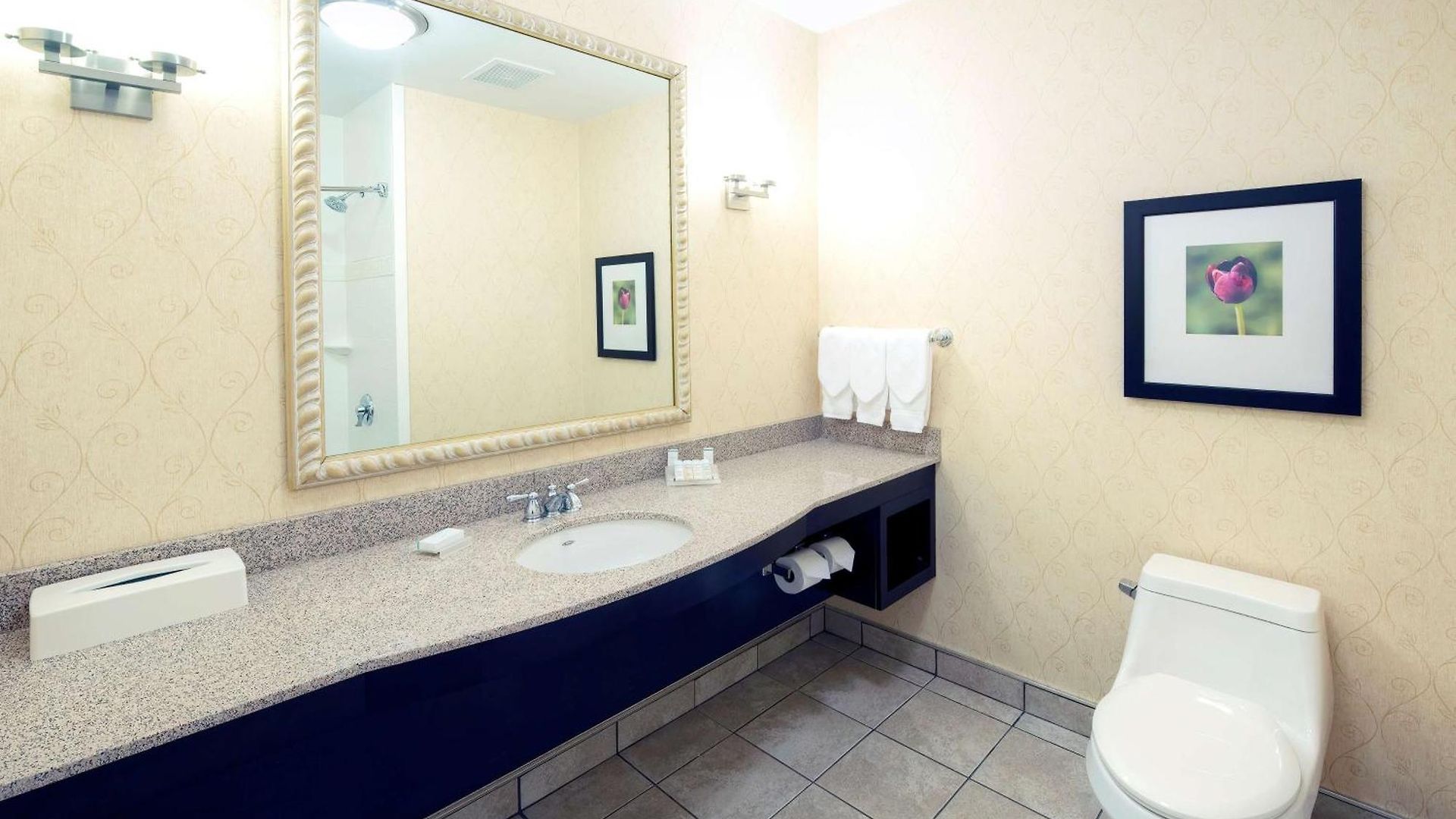 Hotel Hilton Garden Airport Ottawa