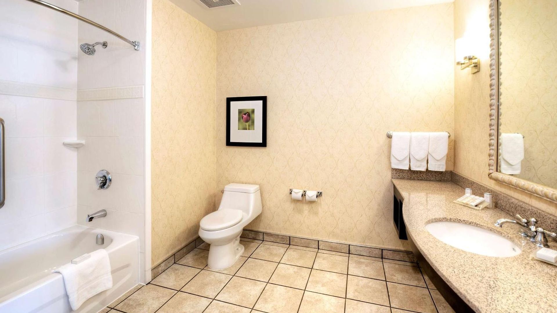 Hilton Garden Airport 3* Ottawa