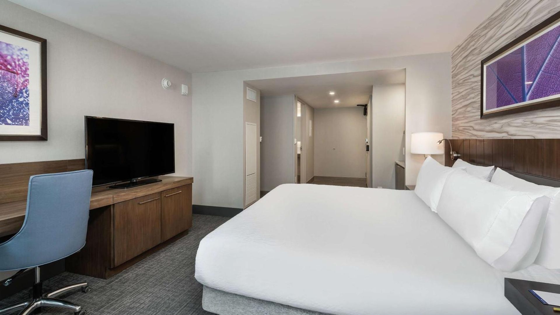 Hotel Hilton Garden Downtown