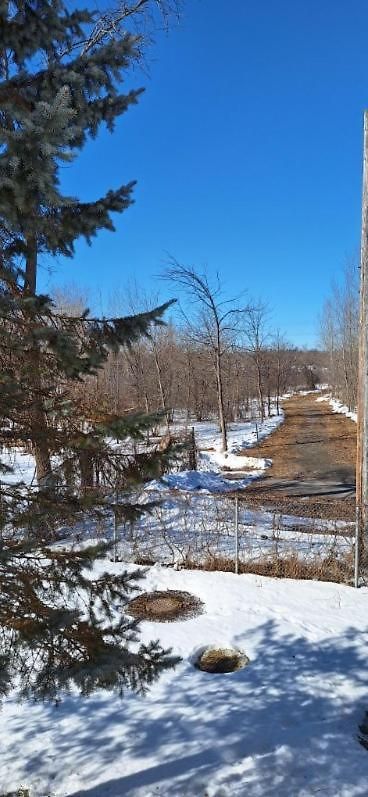Nature Retreat In The City * Ottawa