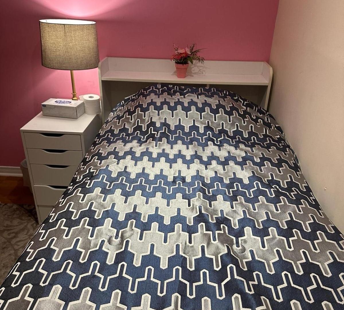 Homestay Sweety For Females Only - Pour Les Femmes Seulement Ottawa