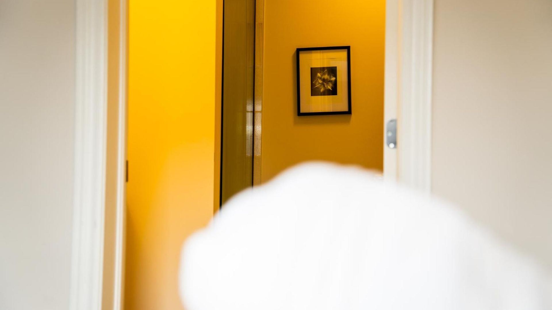 Transpark Homestay Ottawa