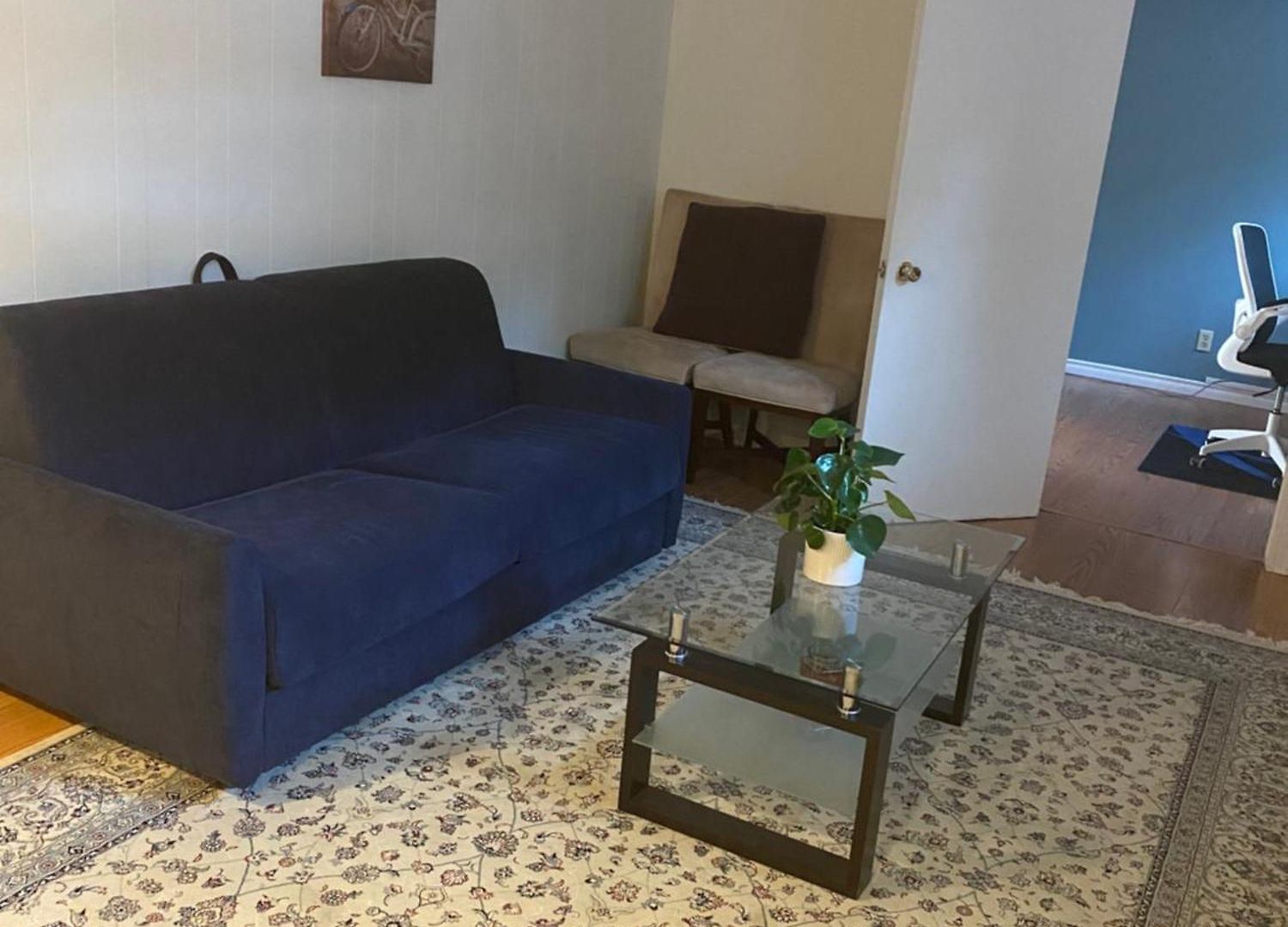 Spacious -walkout Basement- 4 Guests! -dedicated Workspace-no Pet! No Cooking! No Smoking! No Party! * Ottawa