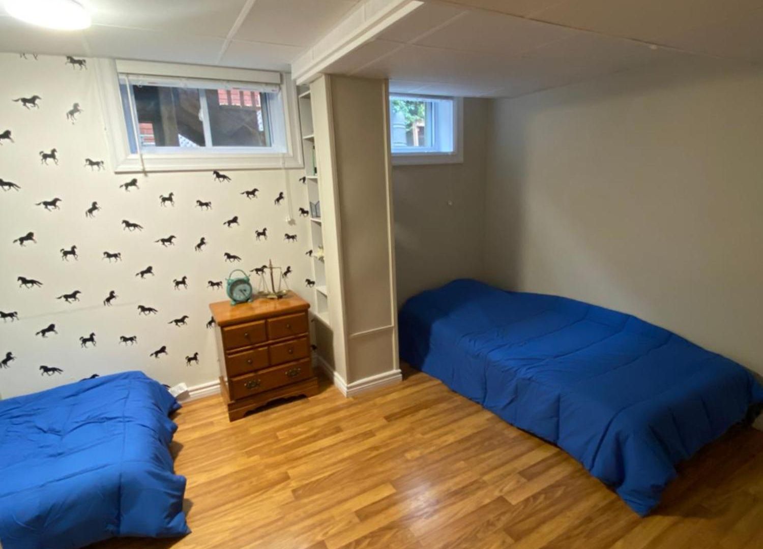 Spacious -walkout Basement- 4 Guests! -dedicated Workspace-no Pet! No Cooking! No Smoking! No Party! *