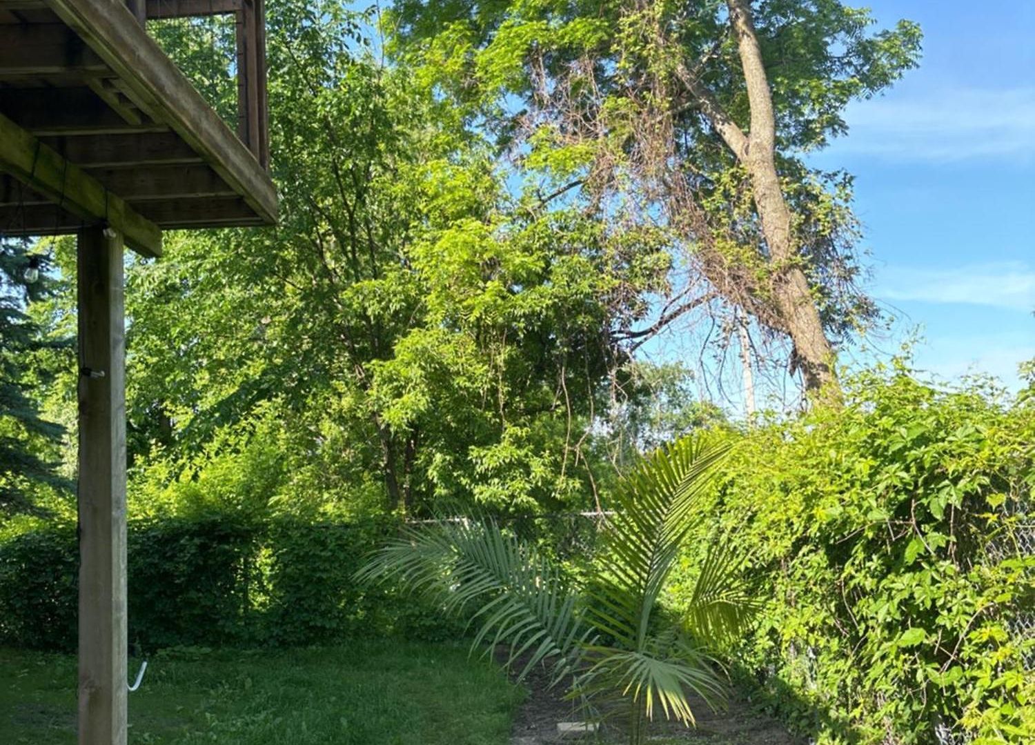 Nature Retreat In The City Guest house Ottawa