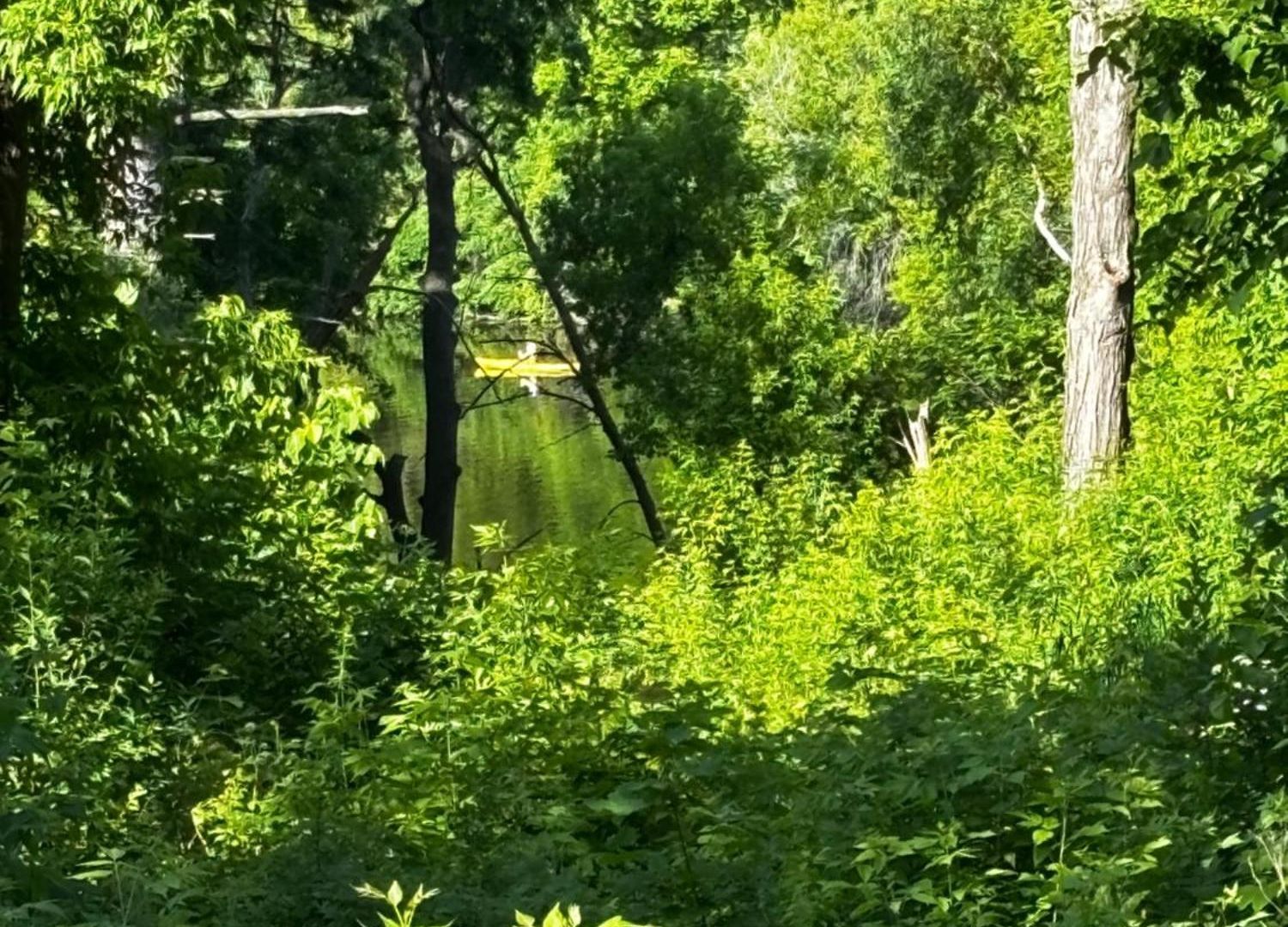 Nature Retreat In The City Ottawa
