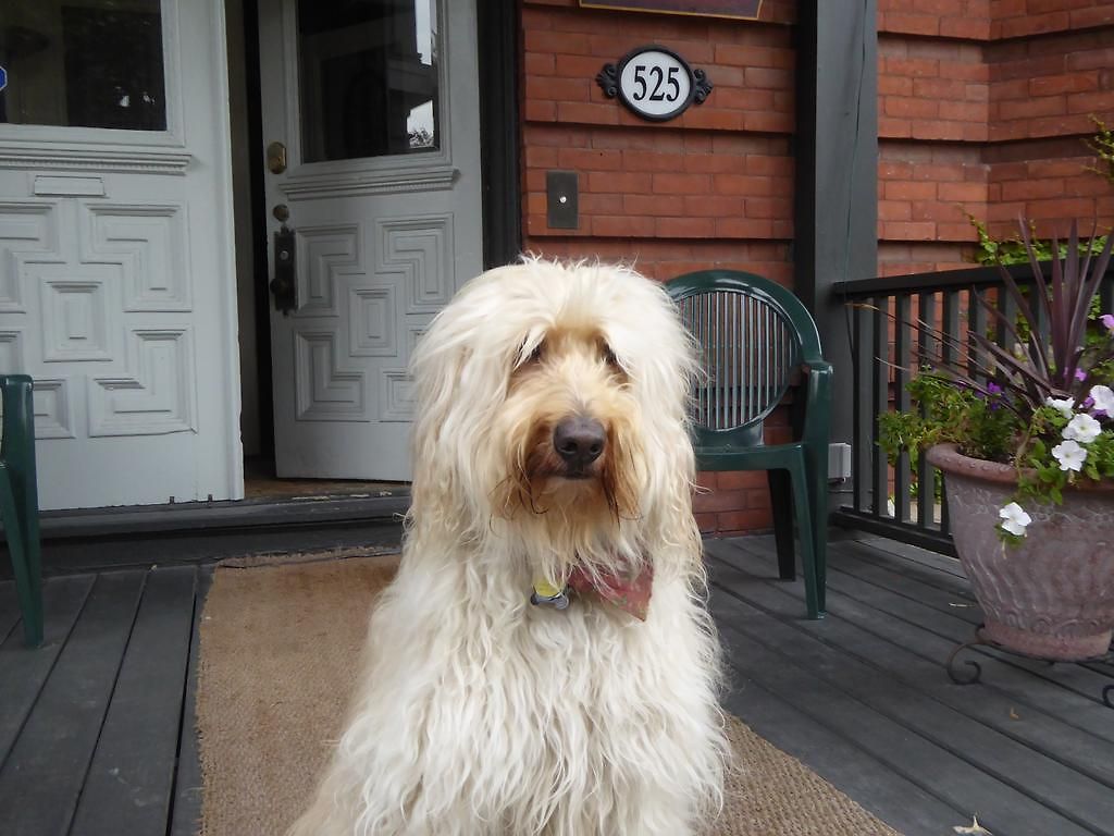 King Edward Bed & Breakfast 4*
