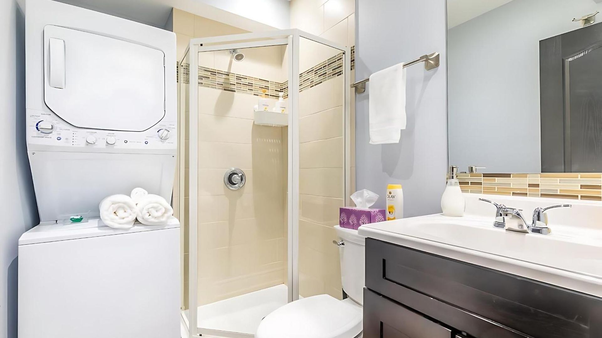 Pet Friendly - 1br Newly Renovated Apartment Ottawa