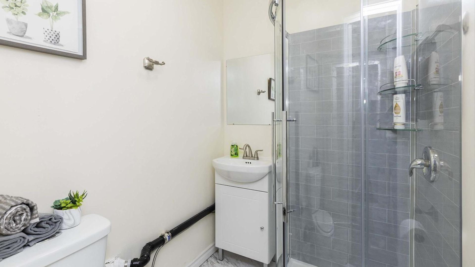 Pet-friendly Studio Unit In Chinatown Ottawa
