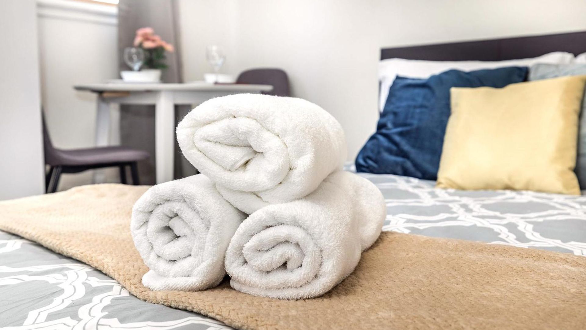 Pet Friendly Suite- In Chinatown *