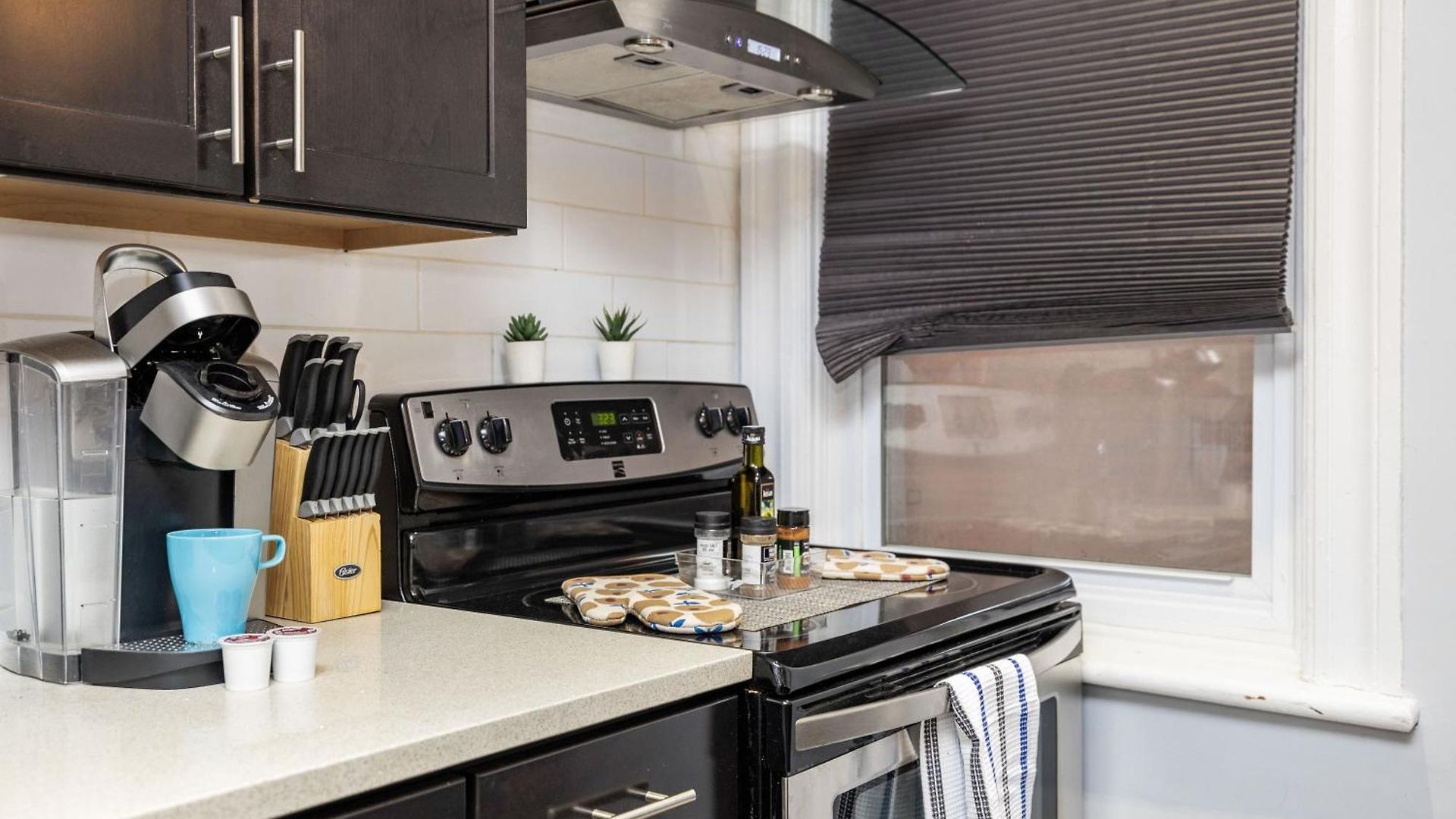 Pet Friendly - 1br Newly Renovated * Ottawa