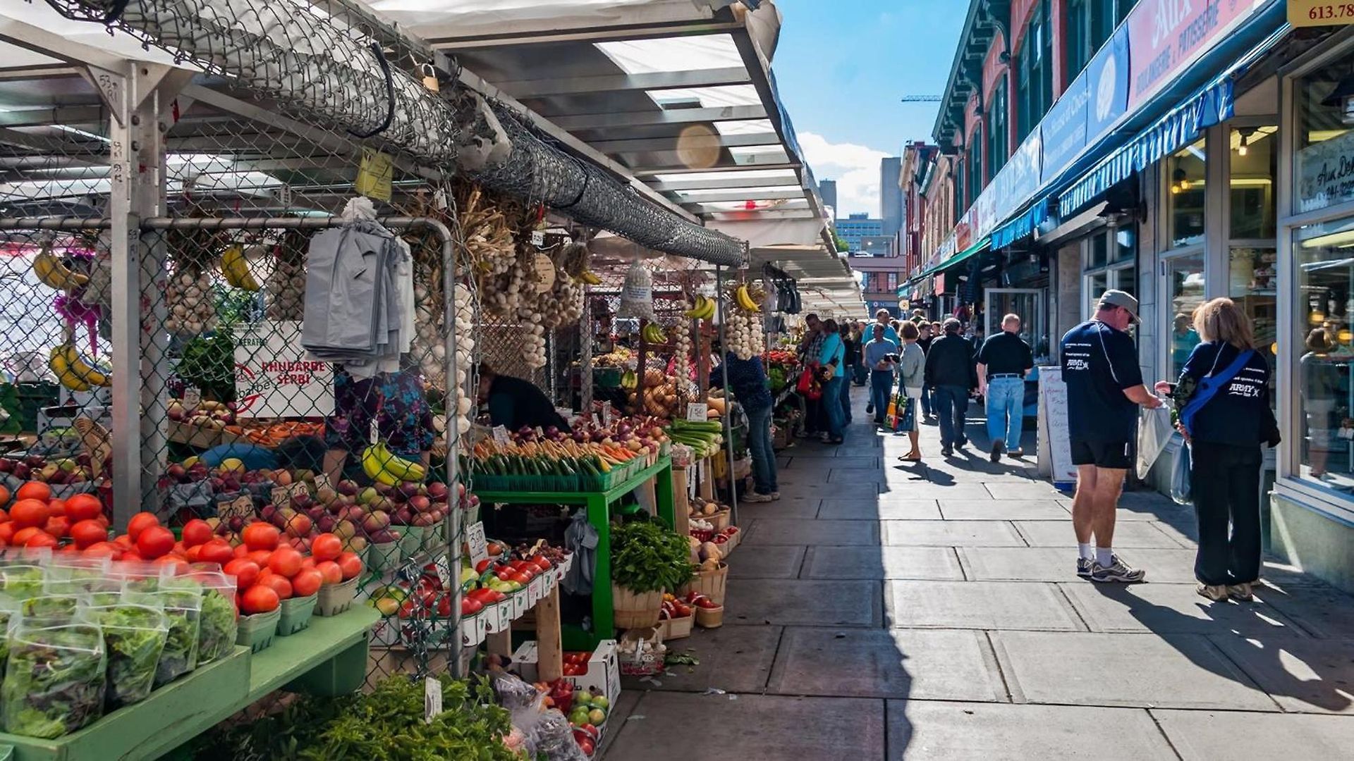 Pet-friendly 3br - Near & Byward Market