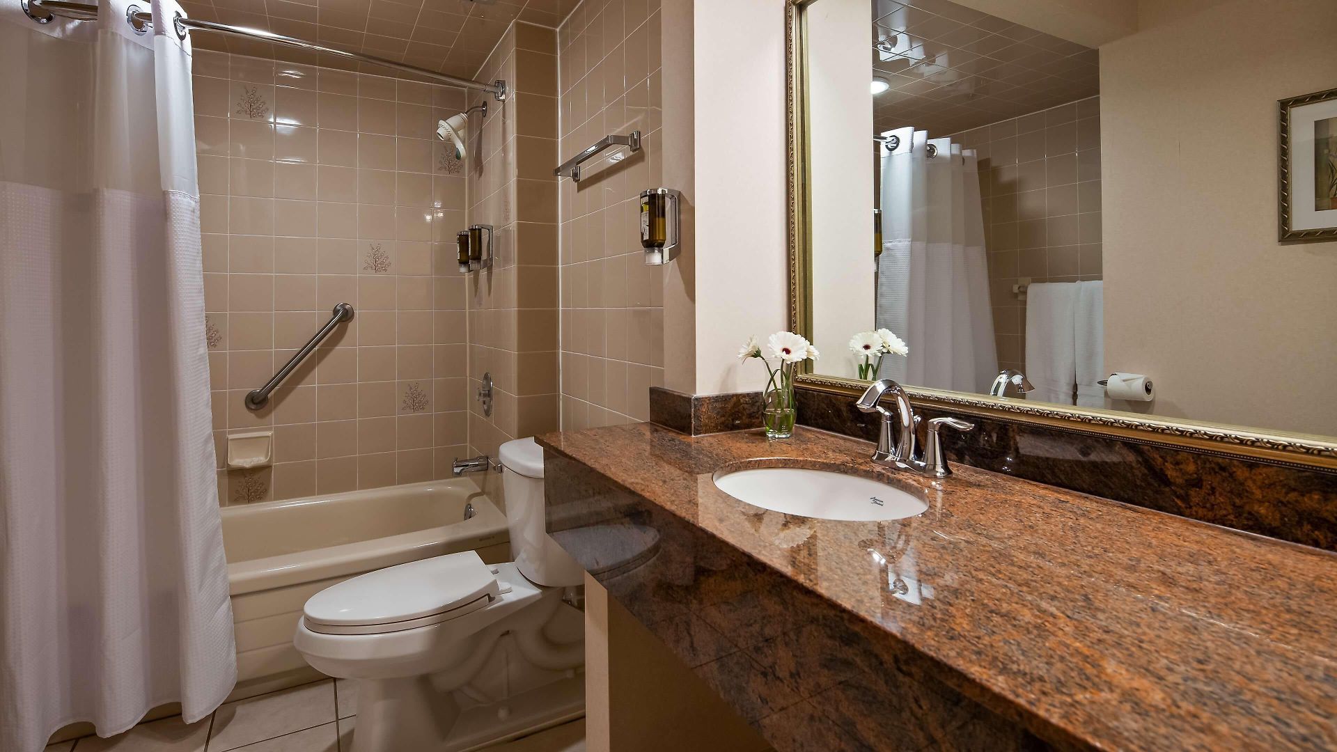 Western Centre 3* Ottawa