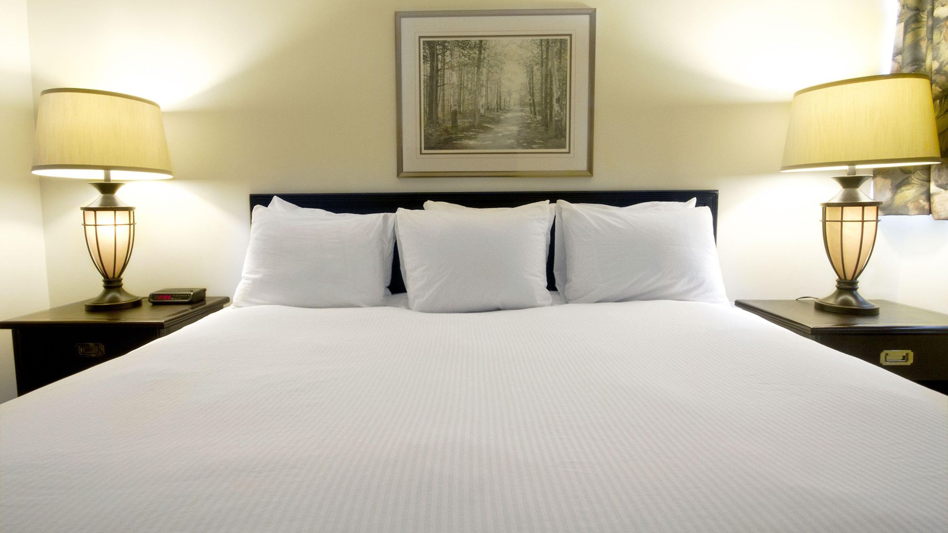 Aparthotel The Business 3*