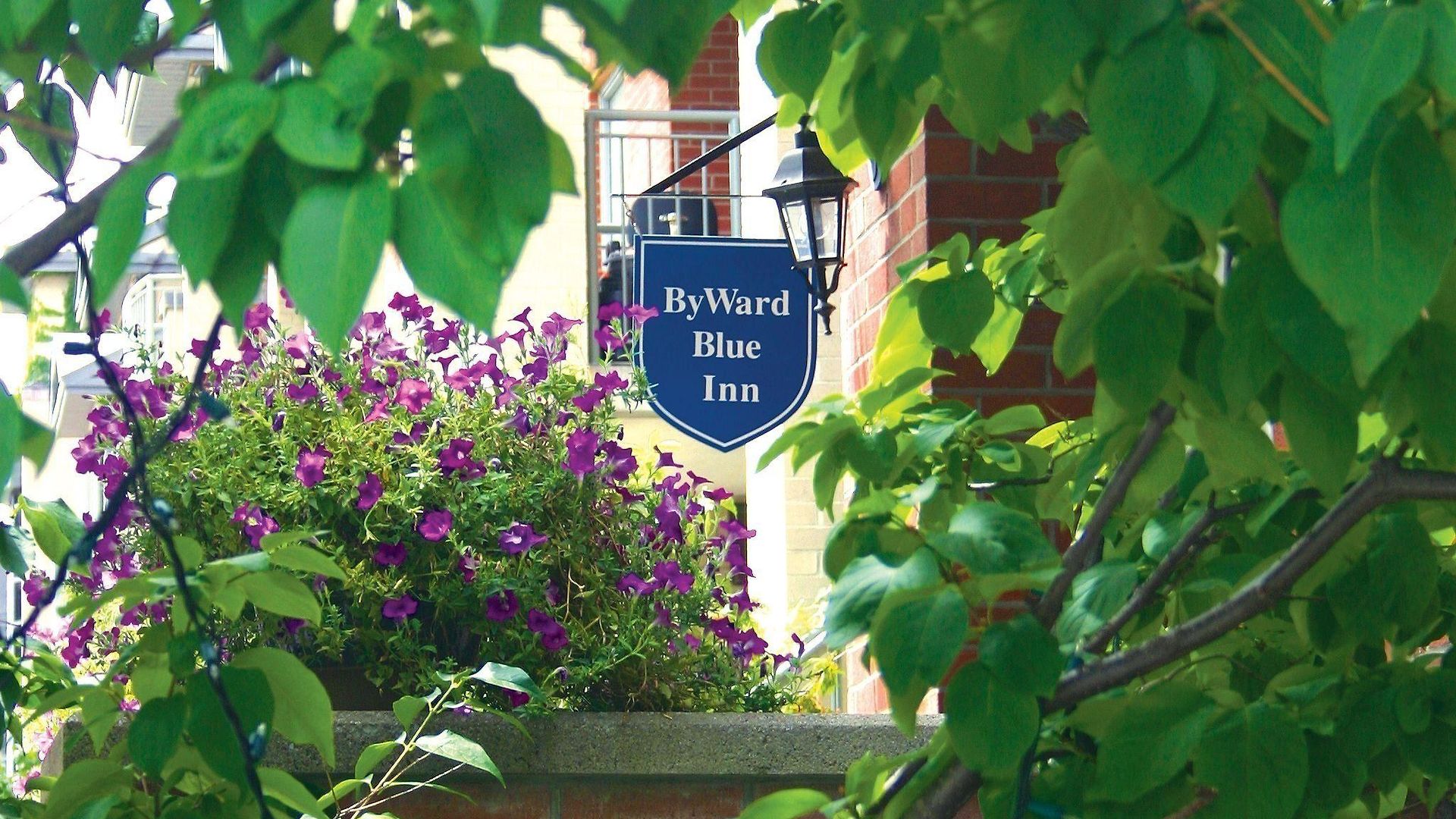 Byward Blue Hotel