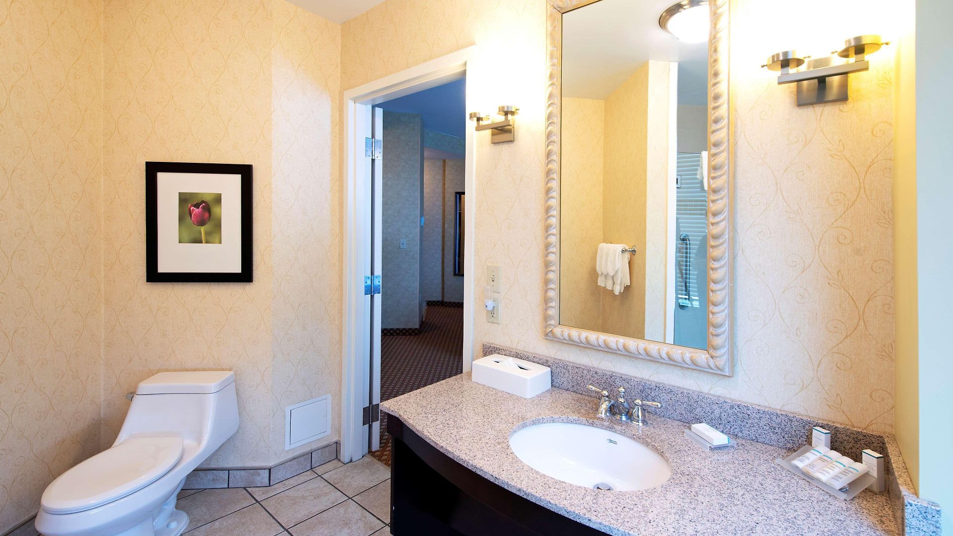 Hotel Hilton Garden Airport 3*