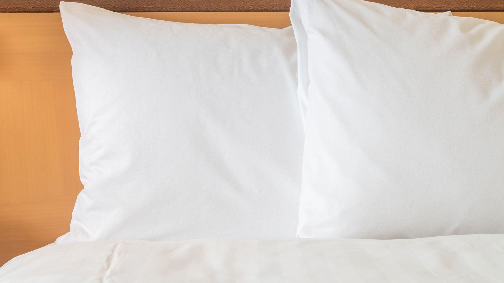 Express & Airport By Ihg Hotel Ottawa