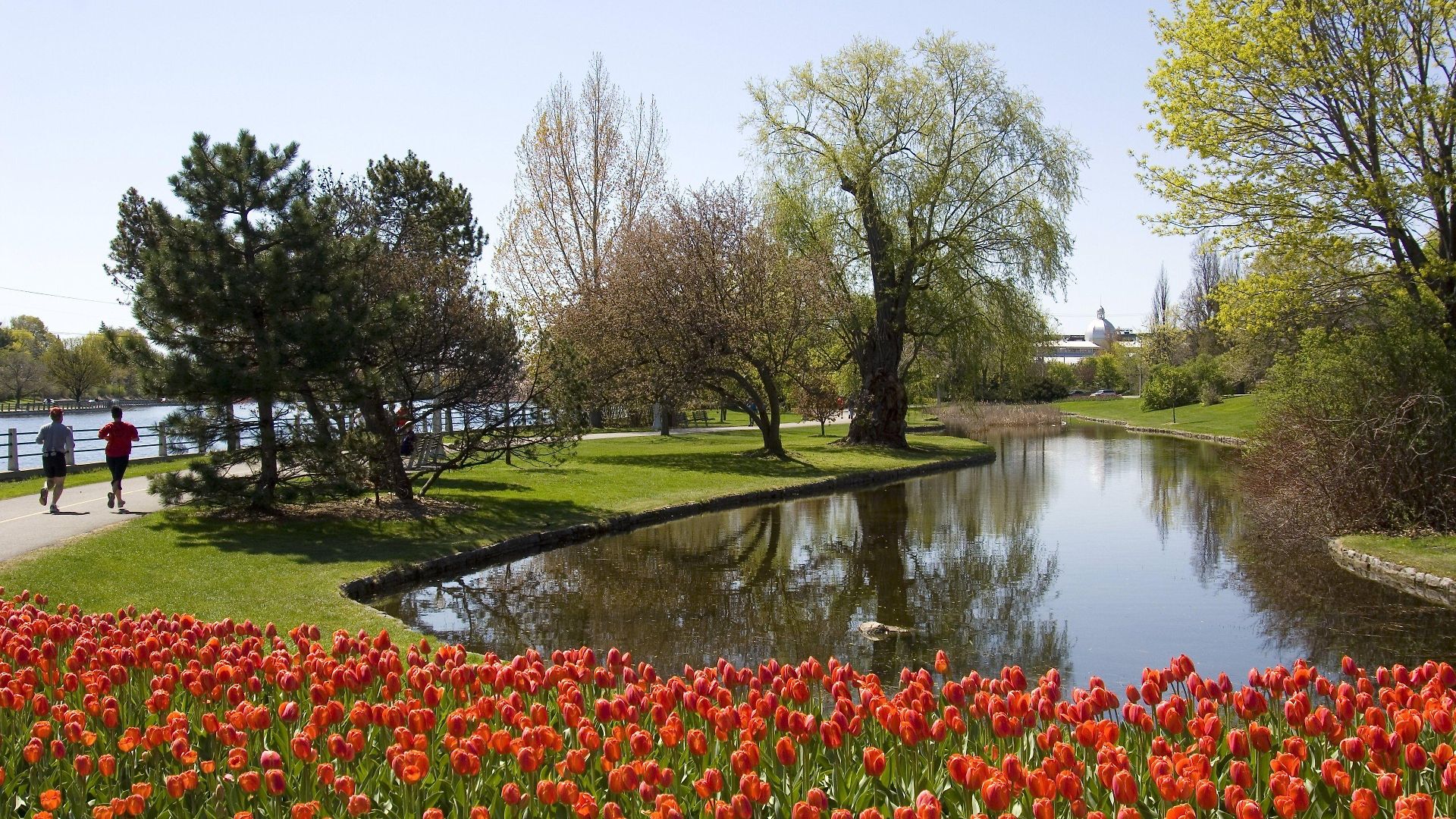 Express & West - Nepean By Ihg 2* Ottawa