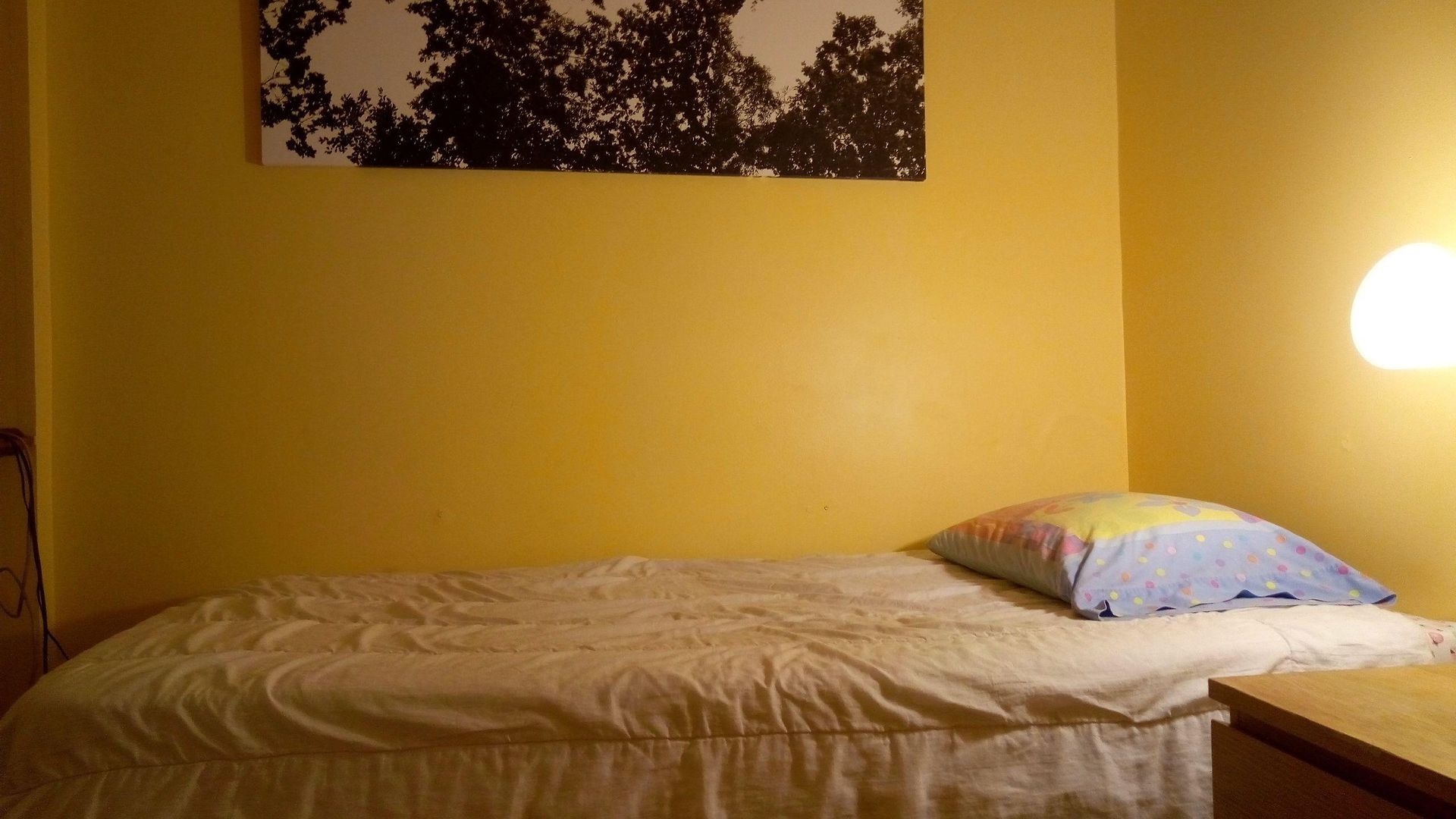 Backpackers * Ottawa