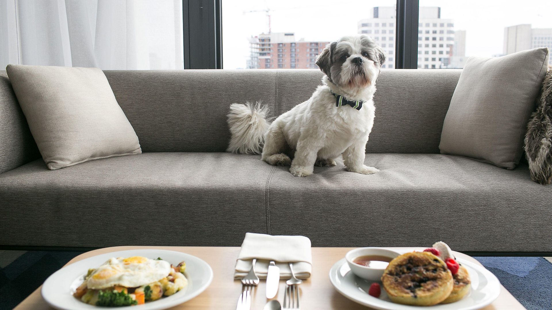 Hotel Andaz Ottawa Byward Market, By Hyatt