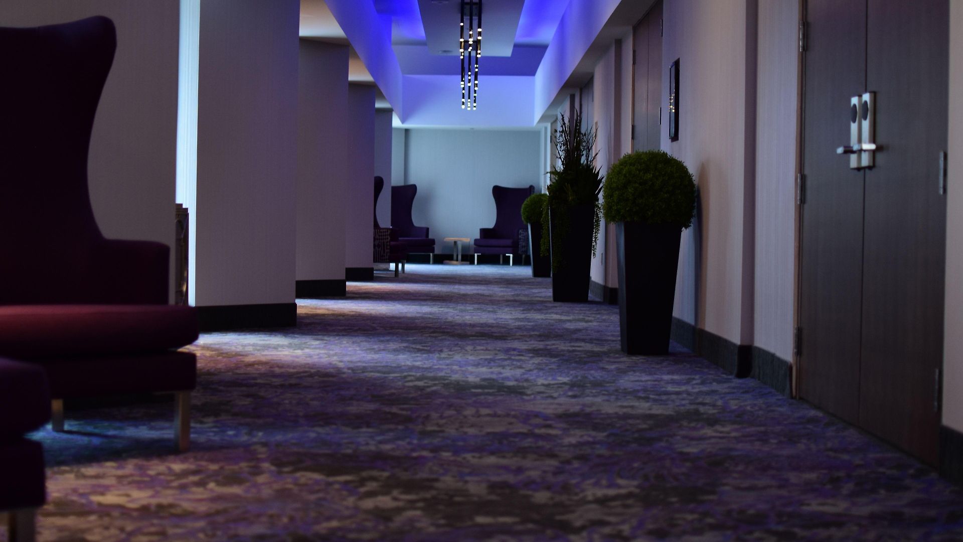 Homewood By Hilton Downtown Ottawa