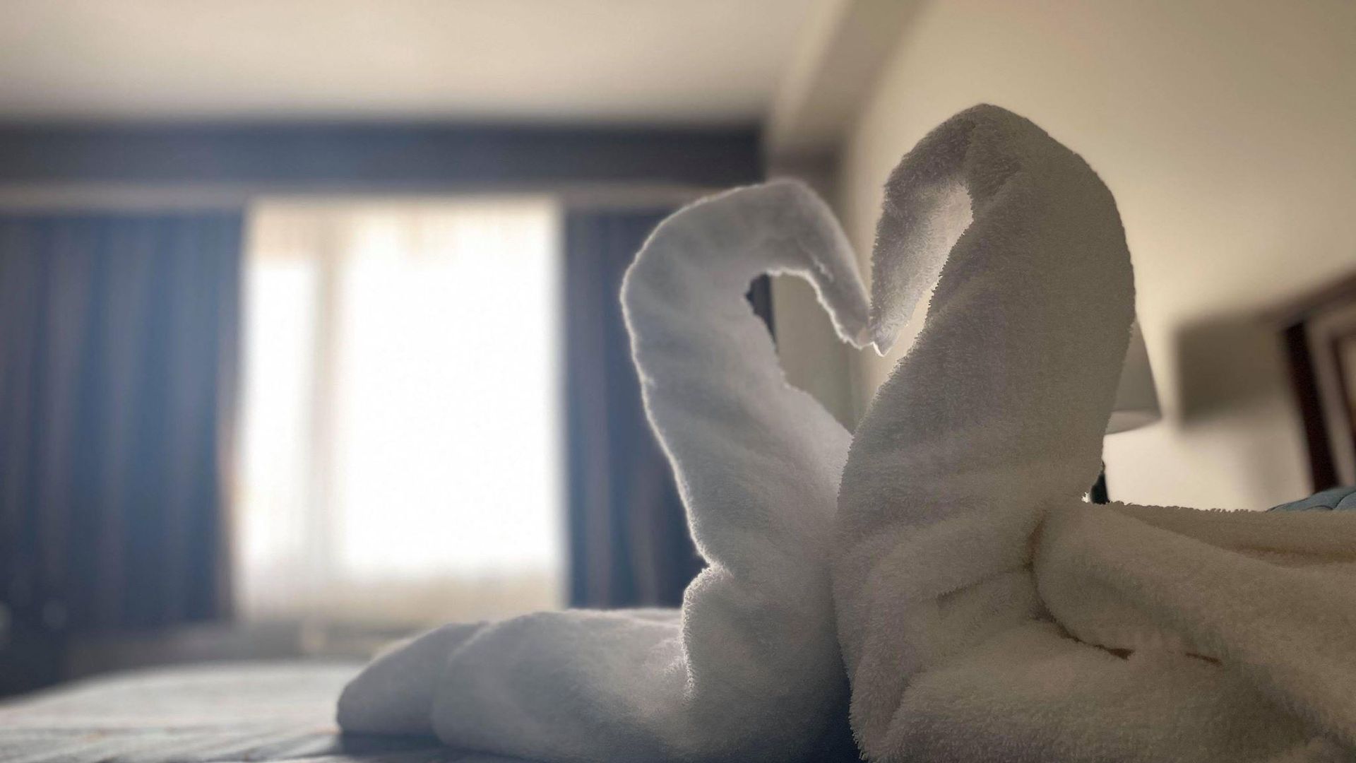 Motel Adam's Airport 3*