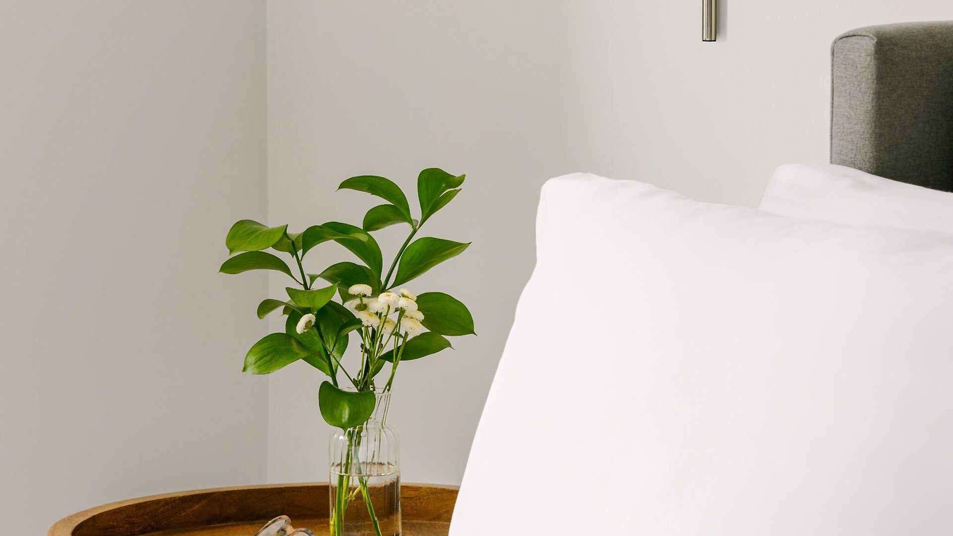 Sonder By Marriott Bonvoy The O'connor Downtown 4* Ottawa