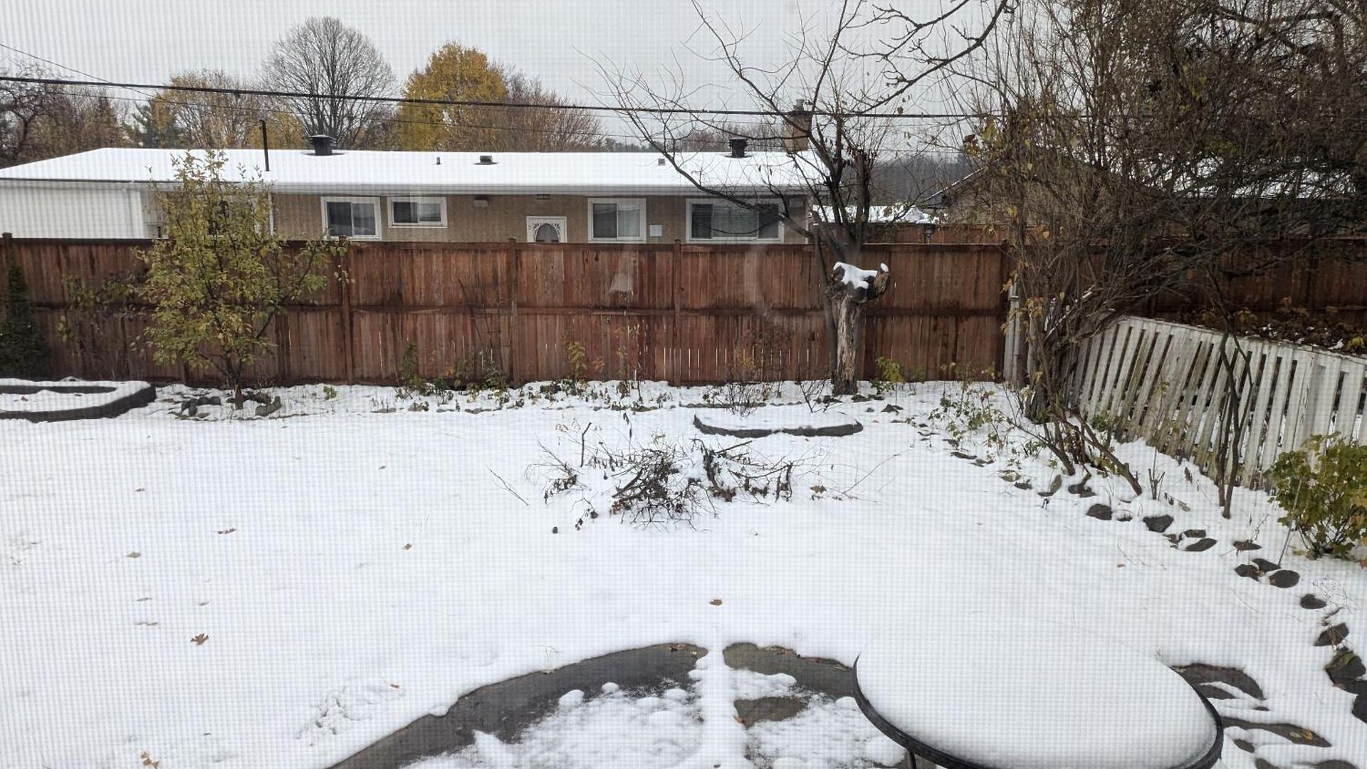 In Area * Ottawa