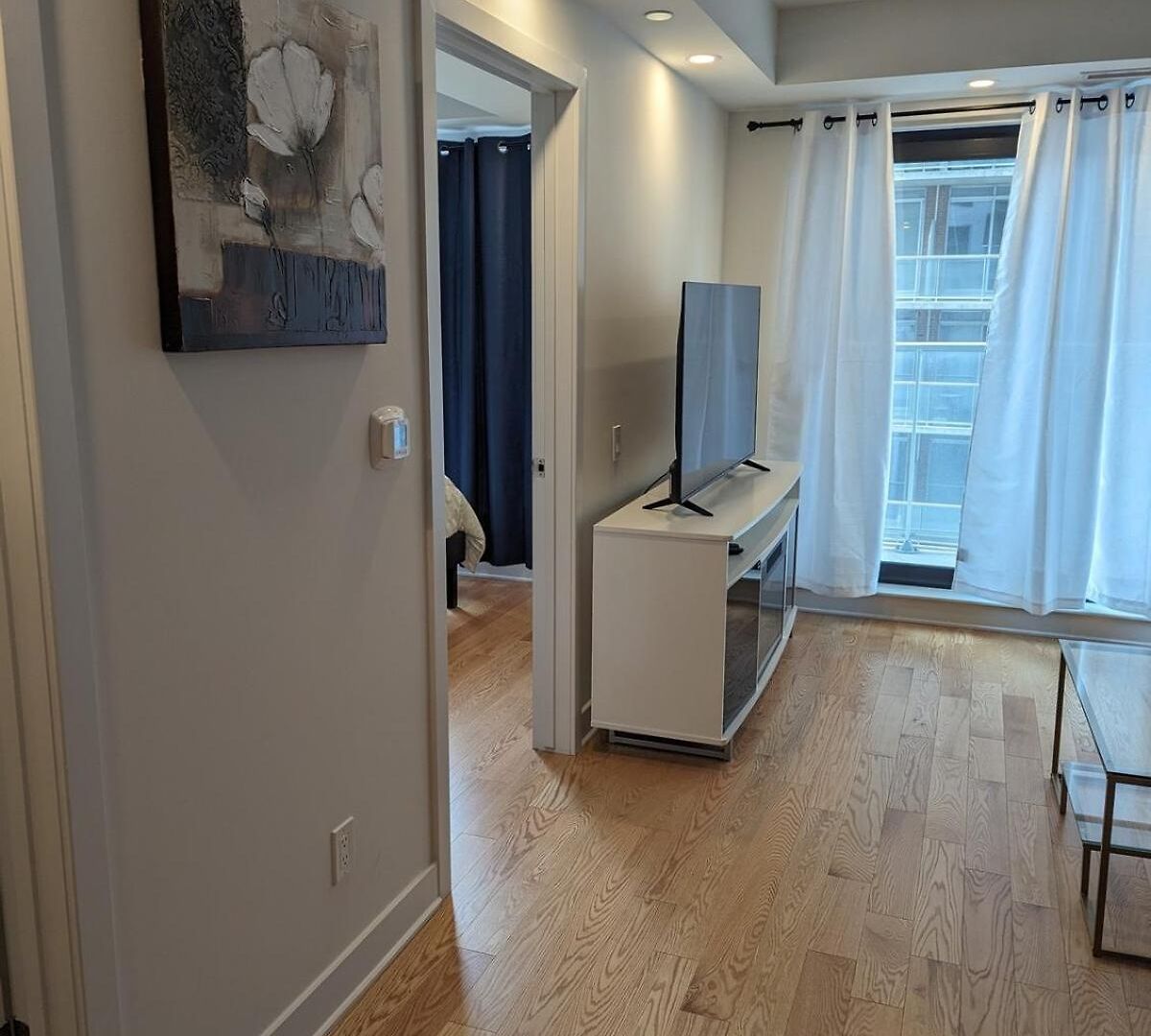 Modern In Downtown