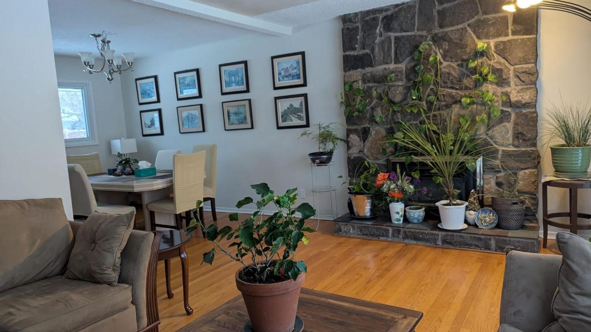 Guest house In Area Ottawa