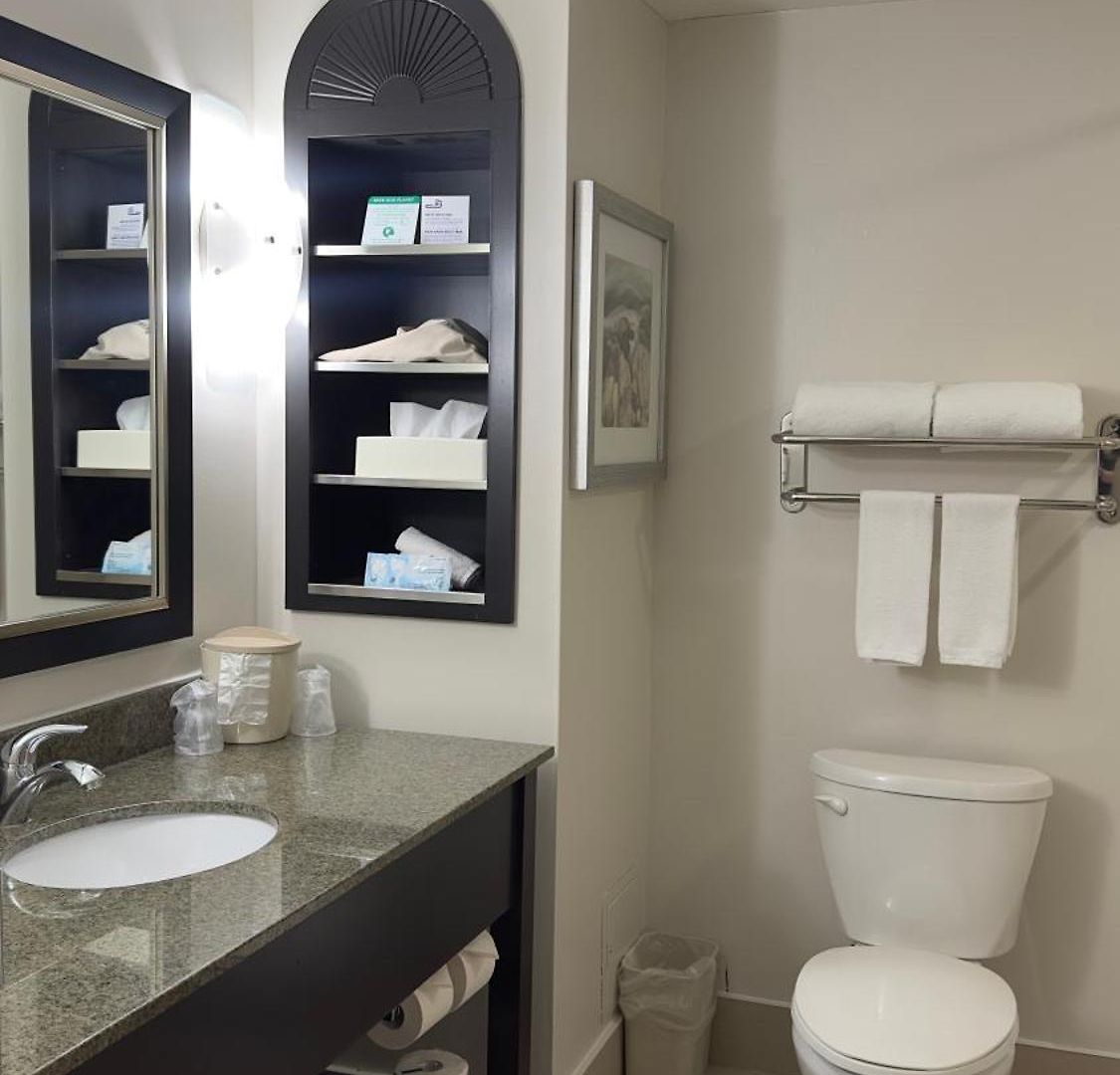 Hotel Express & West - Nepean By Ihg 2*