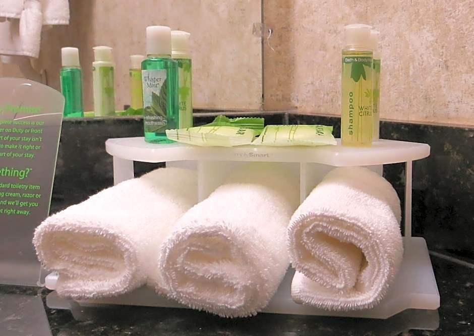 Express & Airport By Ihg 3* Ottawa