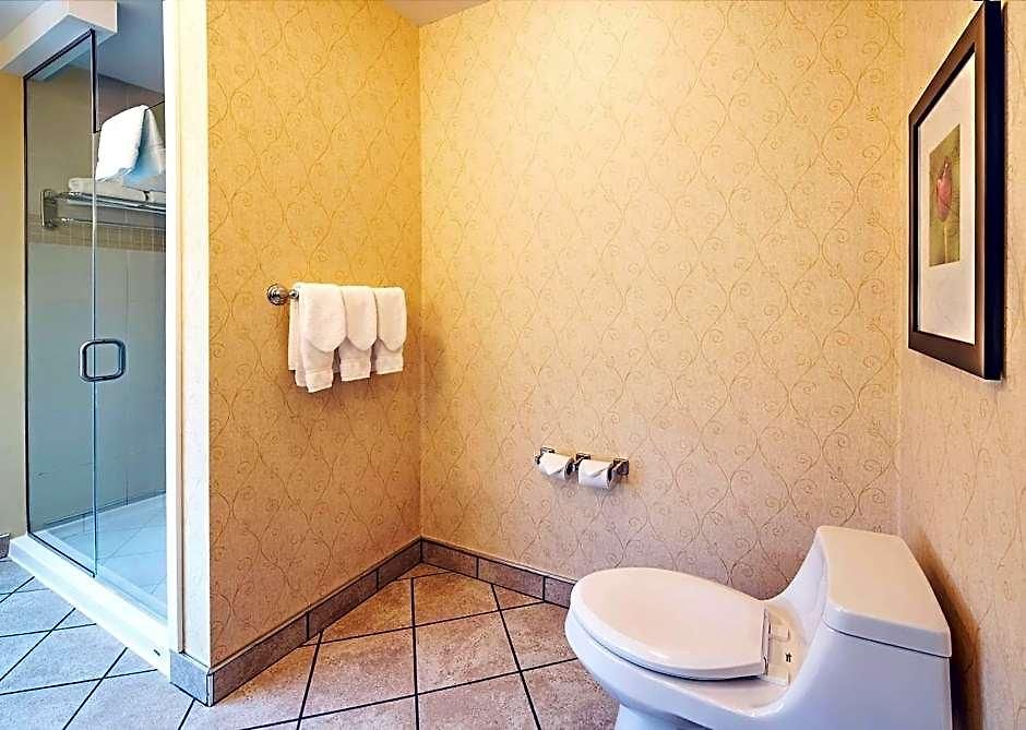 Hilton Garden Airport Hotel