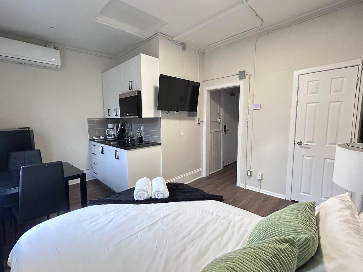 Charming Loft In Sandy Hill Near U Apartment