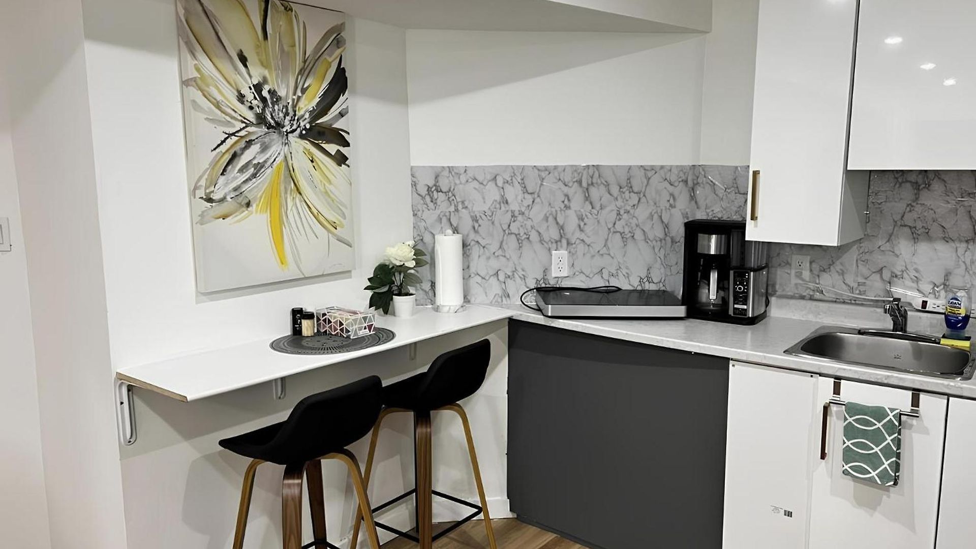 Elegant Basement In Barrhaven, * Ottawa