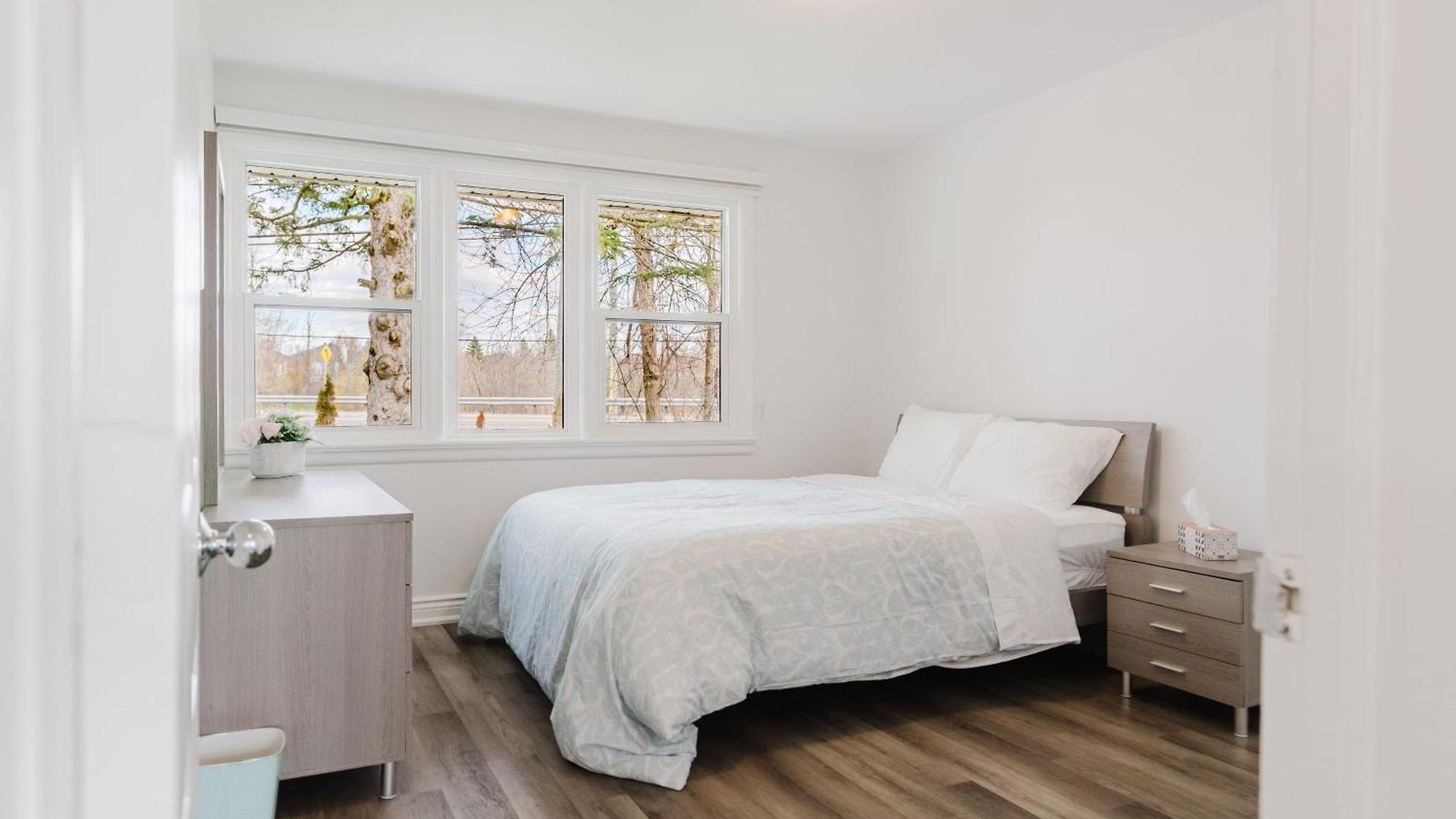 Apartment Beautiful Single Family In *