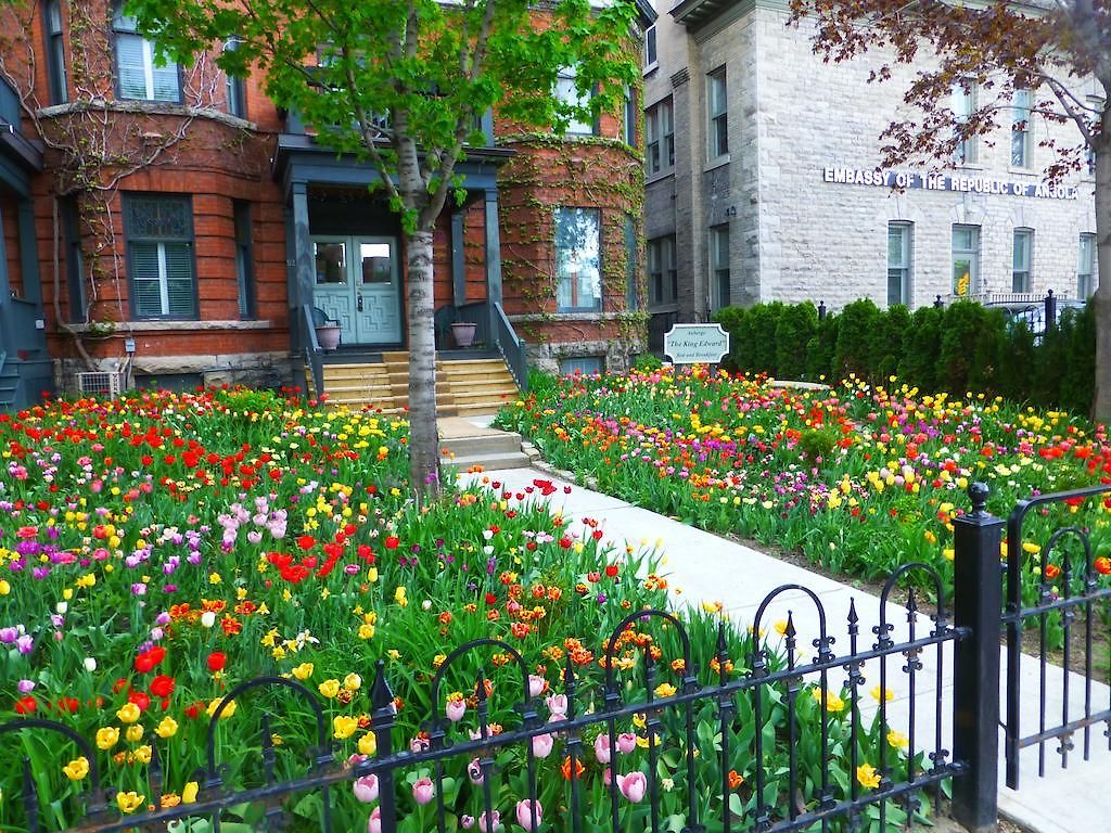 Bed & Breakfast King Edward Ottawa