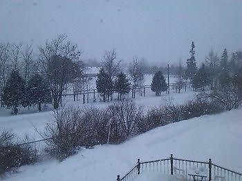 Guest house Country View Manor 3*