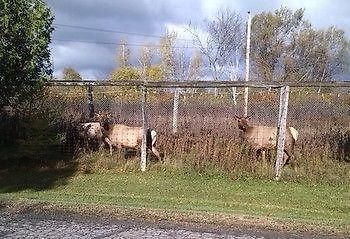 Guest house Country View Manor Ottawa