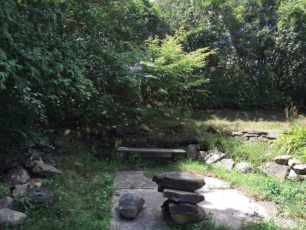 Guest house Pine Trees View 3*