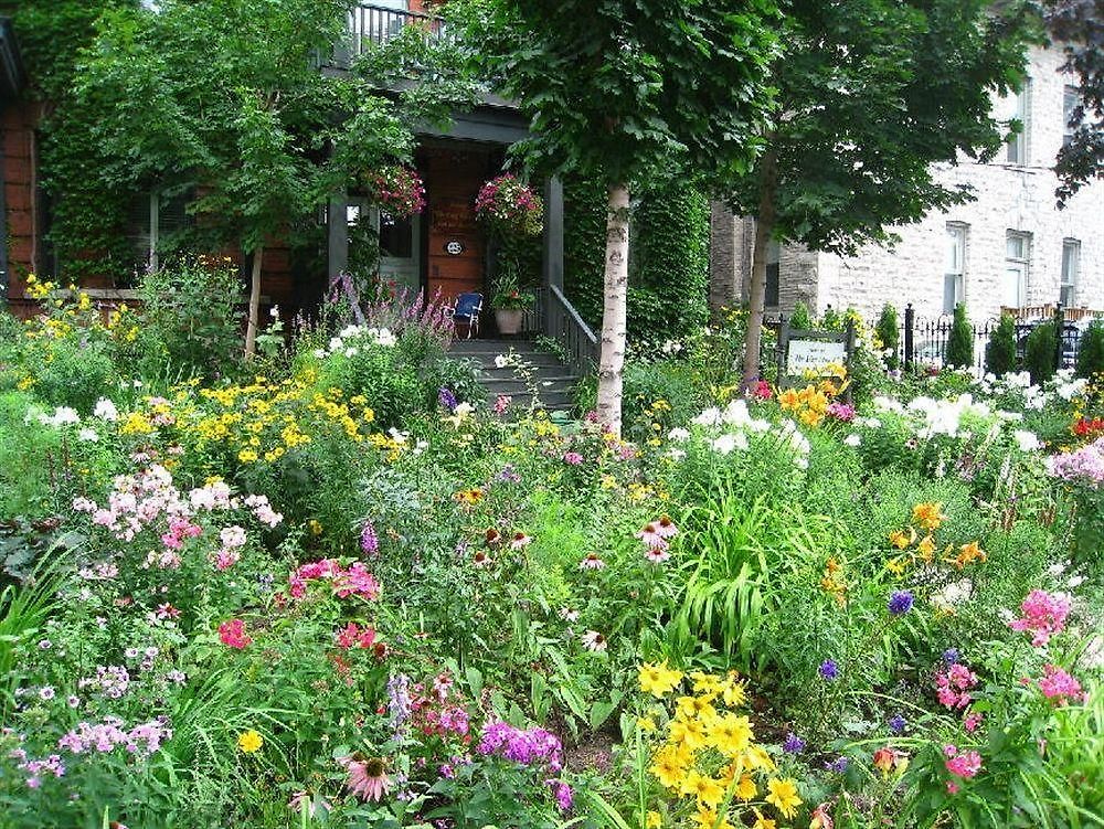 Bed & Breakfast King Edward 4*