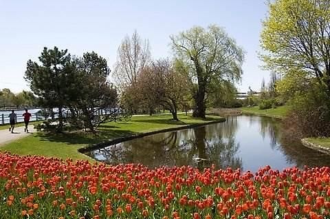 Hilton Garden Downtown 3* Ottawa