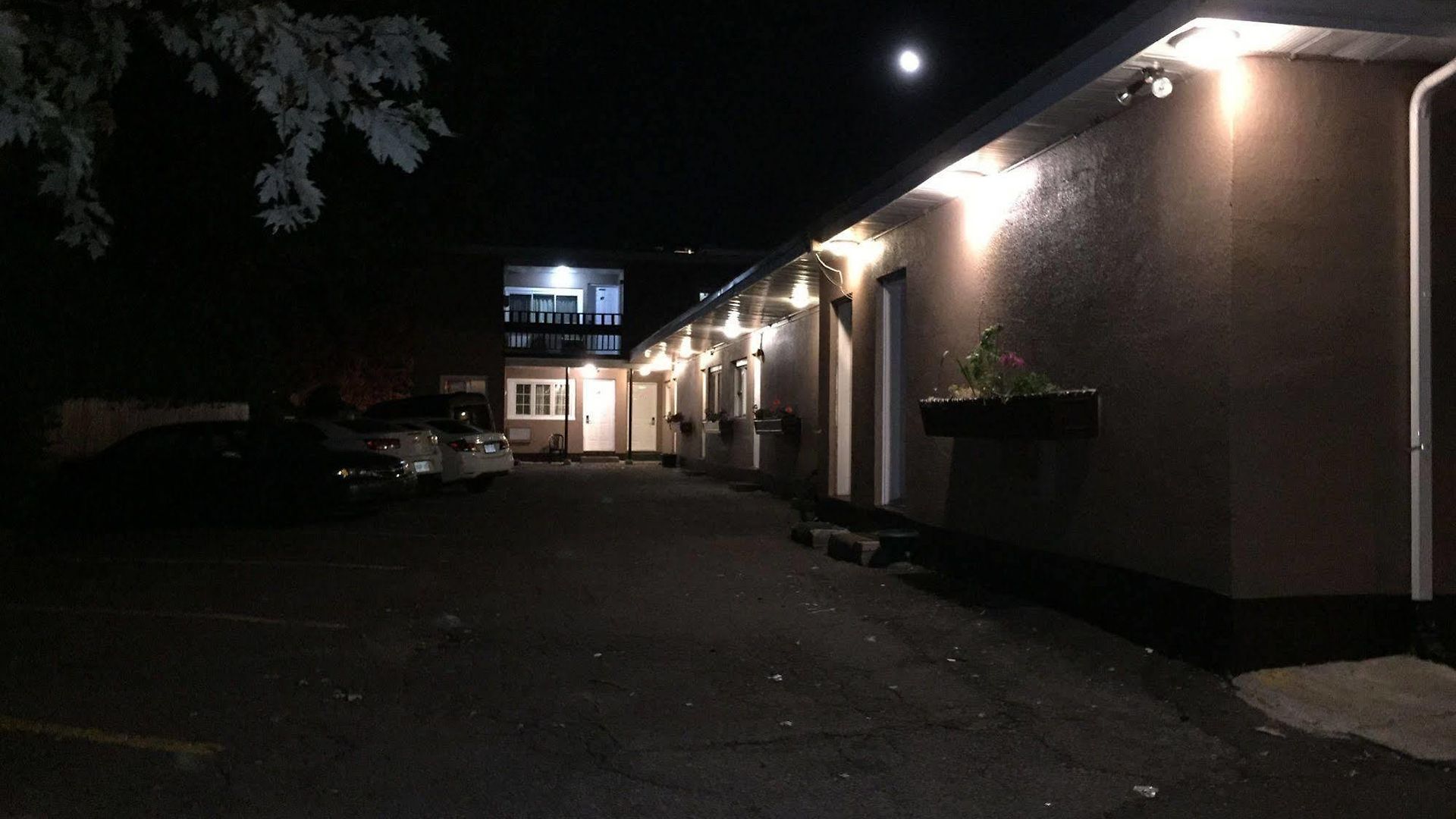Stardust Motel *
