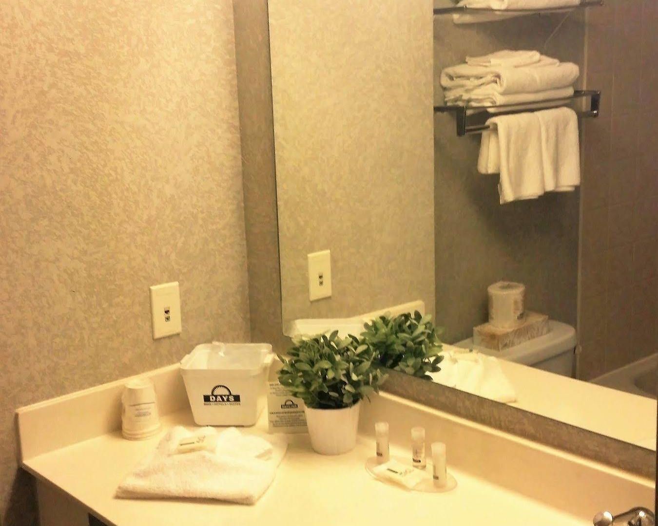 Days By Wyndham Airport Hotel 3*