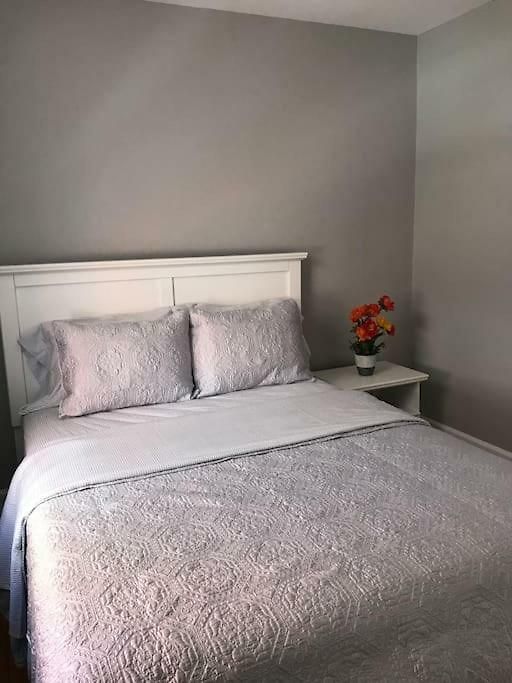 Bright Clean Private In The Heart Of Downtown! Parking Wi-fi Smart Tv Included Apartment Ottawa