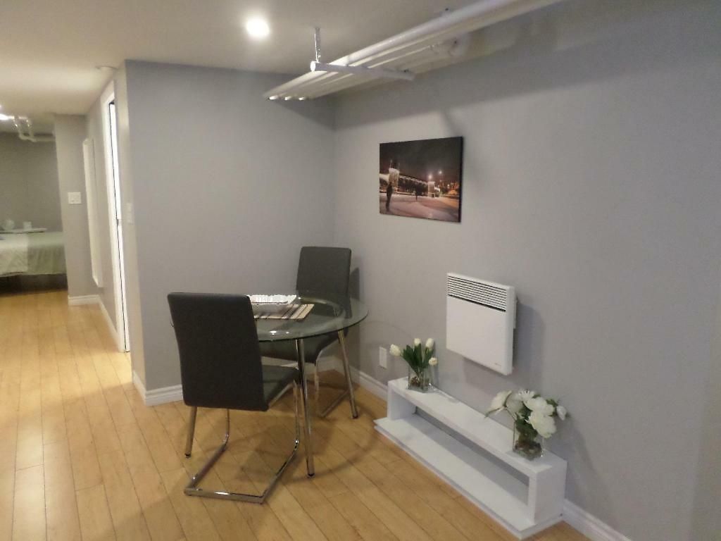 Fantastic And Modern Downtown 1-bed Basement Apt., Parking Wi-fi And Netflix Included Ottawa