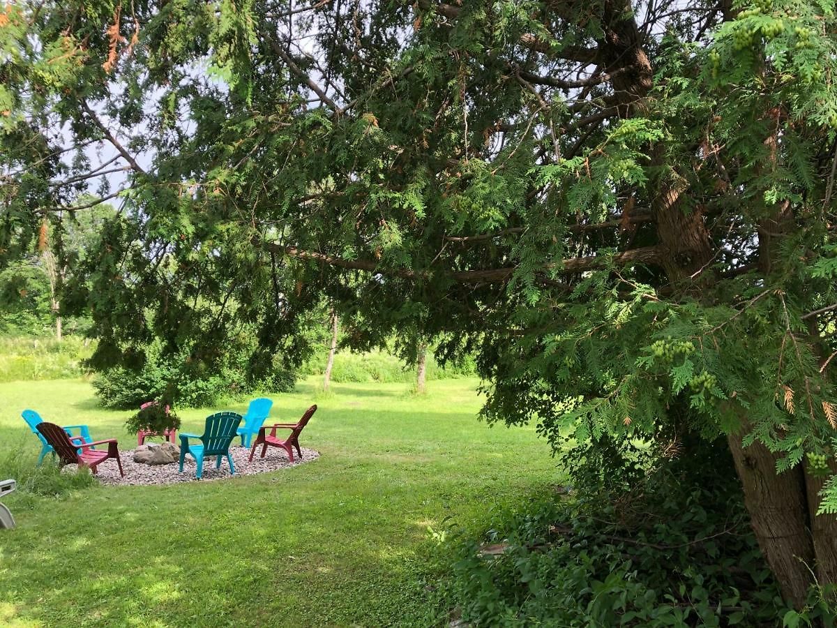 Pine Trees View Guest house 3*