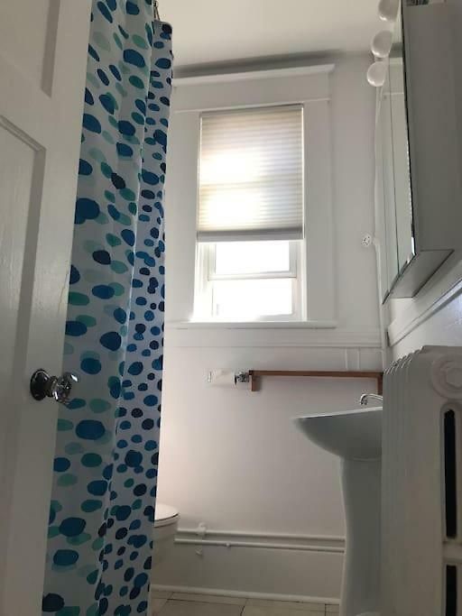 Apartment Bright Clean Private In The Heart Of Downtown! Parking Wi-fi Smart Tv Included