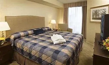 Hotel Minto Suite Hotel 4*