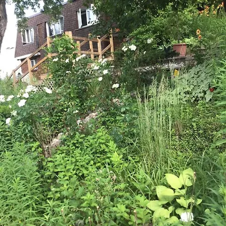 Mariya Studio 4 Guest house Ottawa